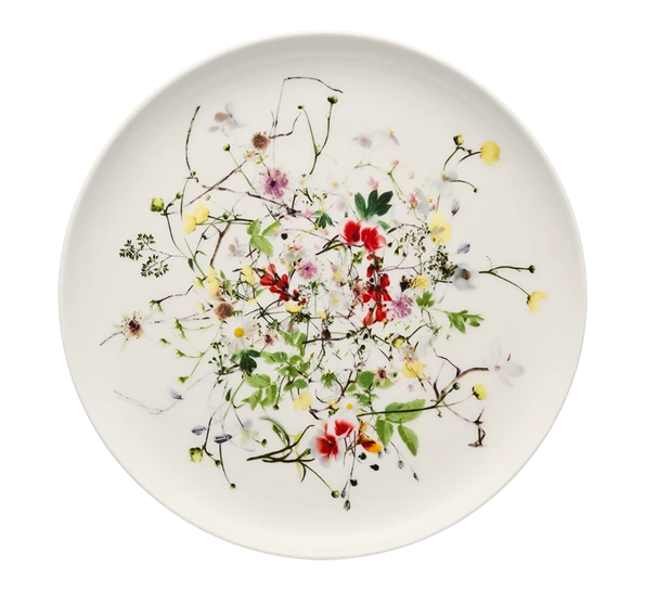 Rosenthal Fleurs Sauvages Asjett Coupe 18 Cm 3 Rosenthal Fleurs Sauvages Asjett Coupe 18 Cm
