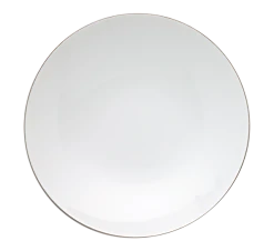 Rosenthal TAC Platinum Tallerken Flat 28 Cm
