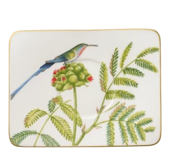 Villeroy & Boch Amazonia Kaffekopp Skål