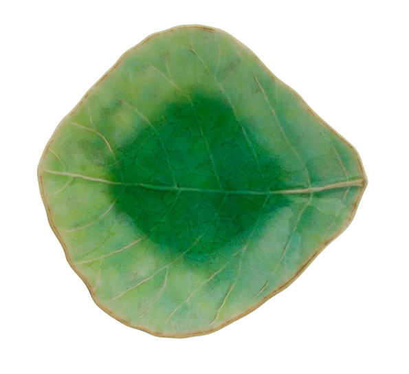 Costa Nova Riviera Miniskål 11 Cm Løv Grønn 3 Costa Nova Riviera Miniskål 11 Cm Løv Grønn