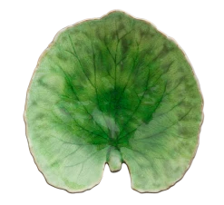 Costa Nova Riviera Tallerken 18 Cm Vannliljeblad Grønt