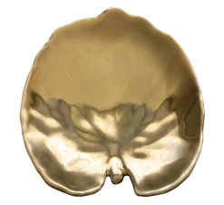 Costa Nova Riviera Tallerken 18 Cm Vannliljeblad Gull