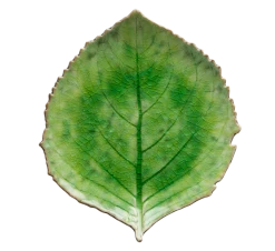 Costa Nova Riviera Tallerken 22 Cm Hortensiablad Grønt