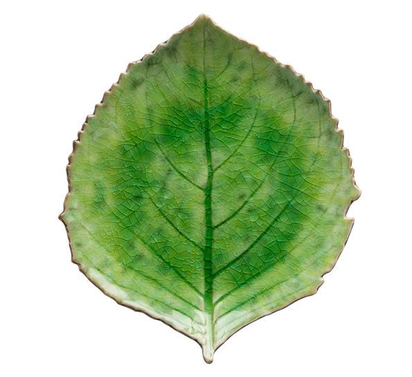 Costa Nova Riviera Tallerken 22 Cm Hortensiablad Grønt 3 Costa Nova Riviera Tallerken 22 Cm Hortensiablad Grønt