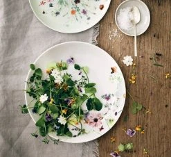 Rosenthal Grand Air Tallerken 27 Cm -Villeroy & Boch Butikk ros brillance grand air mood03