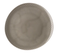 Rosenthal Junto Pearl Grey Asjett 22 Cm